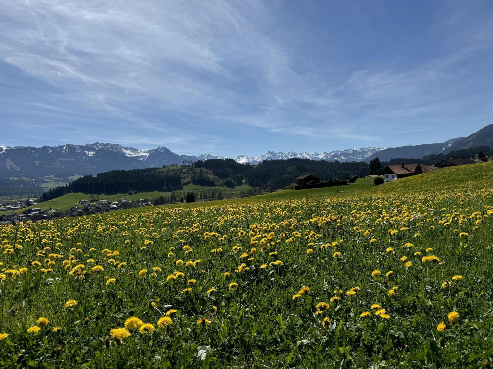 Ferienwohnungen Probst Ofterschwang Exterior photo