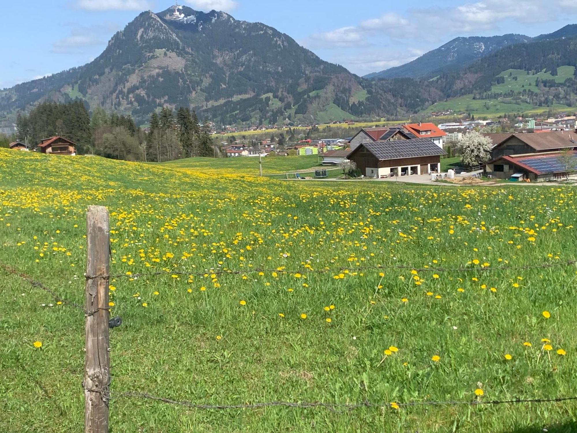 Ferienwohnungen Probst Ofterschwang Exterior photo